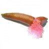 Microcitrus Australasica Varietät Pink Ice